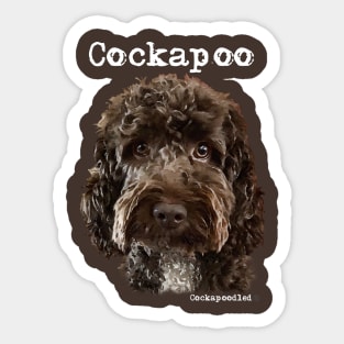 Chocolate Brown  Cockapoo / Spoodle and Doodle Dog Sticker